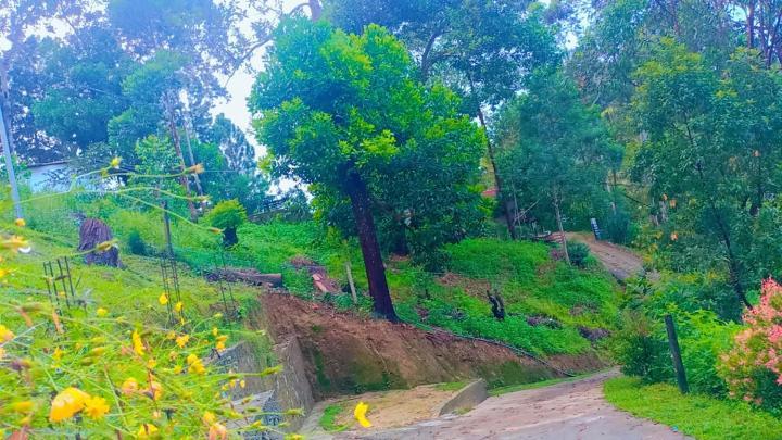 Ella Hillsite View Hotel Luaran gambar