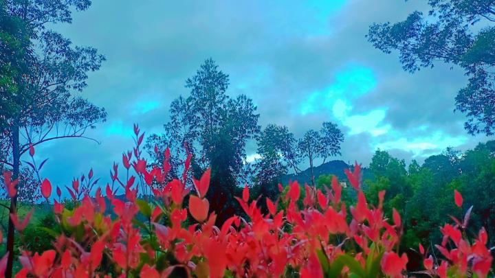 Ella Hillsite View Hotel Luaran gambar