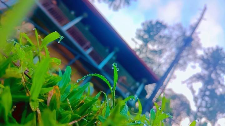 Ella Hillsite View Hotel Luaran gambar