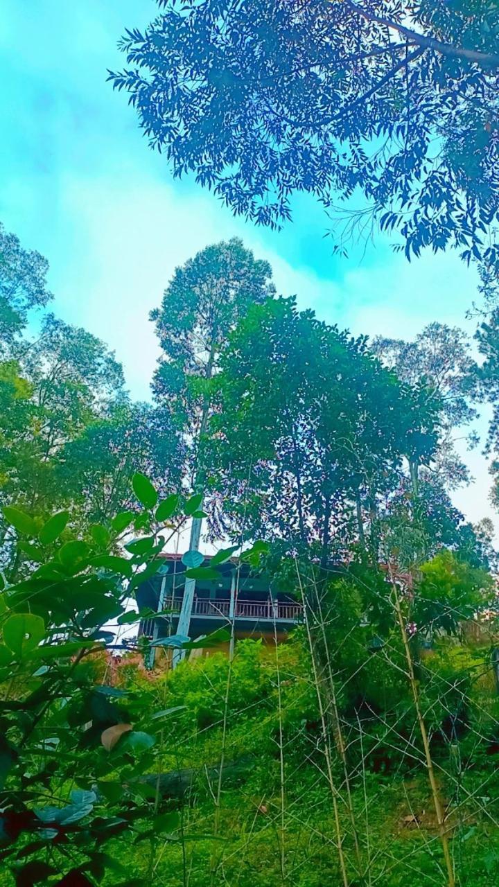 Ella Hillsite View Hotel Luaran gambar