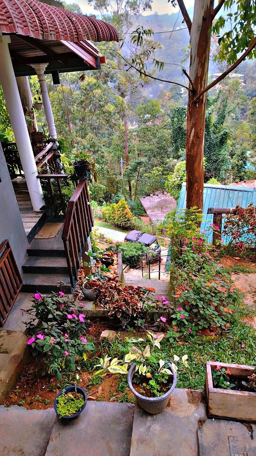 Ella Hillsite View Hotel Bilik gambar