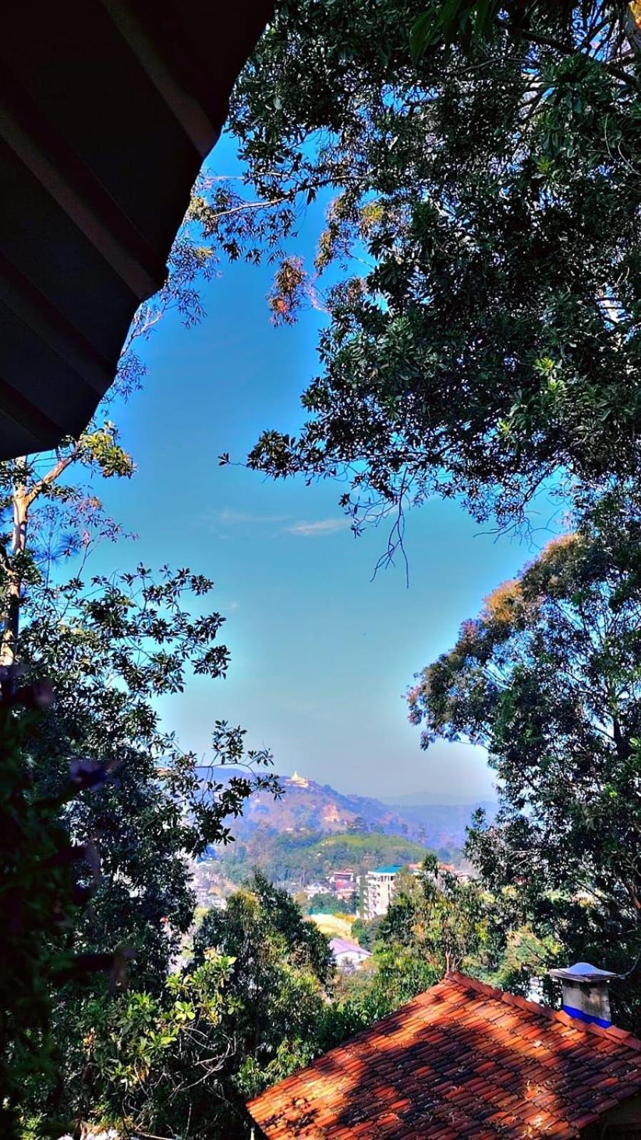 Ella Hillsite View Hotel Luaran gambar