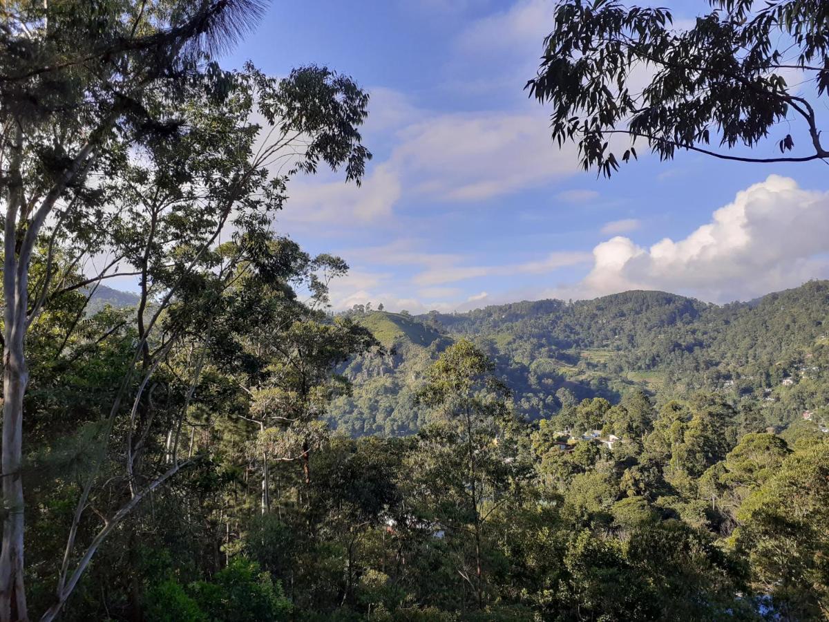 Ella Hillsite View Hotel Luaran gambar
