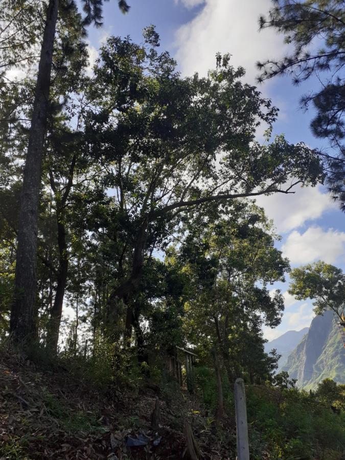 Ella Hillsite View Hotel Luaran gambar